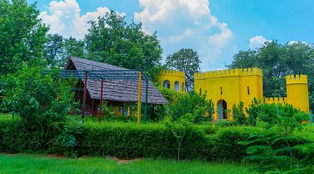 Ambience of Vishalgarh Farms
