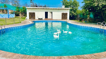 Farmhouse 8856 CH | Farmhouse in Chandigarh Road, Chandigarh