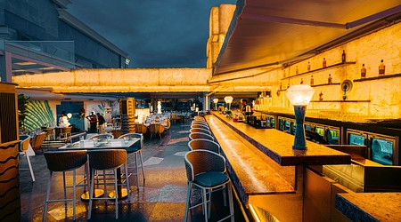Bar Area at Pangeo