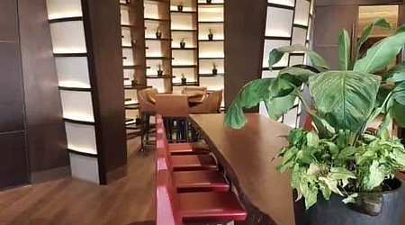 Cove The Bar- Radisson Blu | Restaurants in Sector 20, Faridabad
