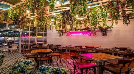 The Salt Cafe Kitchen & Bar | Restaurants in Preet Vihar, Delhi