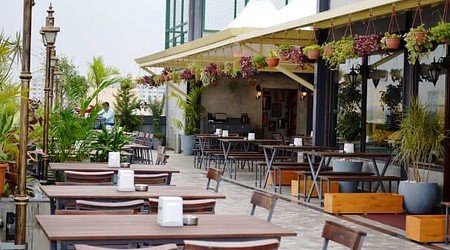 Bollywood Theme Party at vapour brewpub and diner