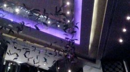 connexions bar - crowne plaza a perfect corporate party place