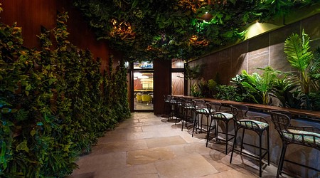 exclusive party packages of Club Tivoli