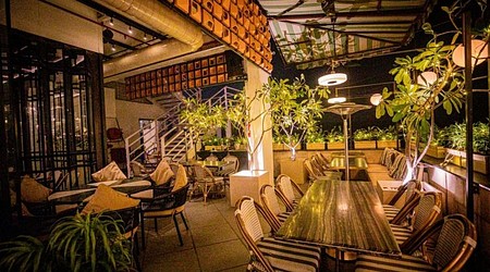 exclusive party packages of Kakapo
