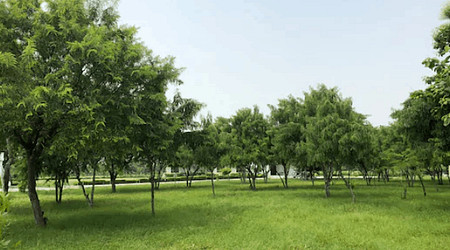 Interior Decor of Farm 2040 FD