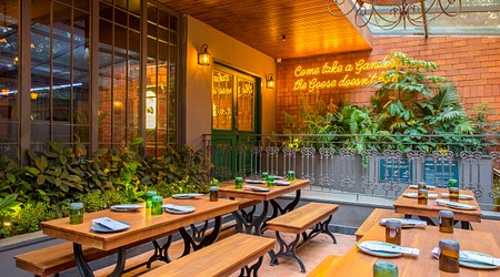 Interior Decor of Gawky Goose
