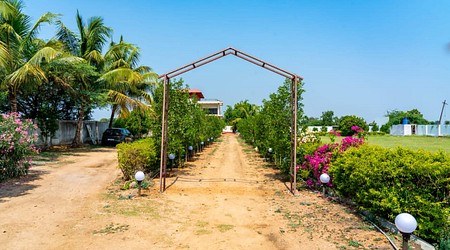 Interior Decor of White Fox Farm