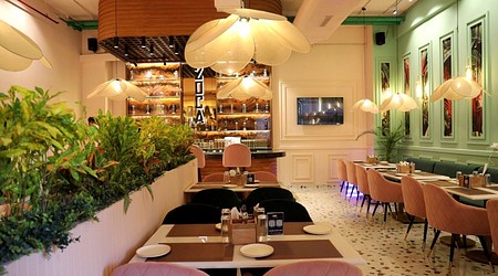 Interior Decor of ZOCA