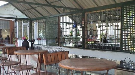 Suryavanshi Resto Bar | Restaurant in Civil Lines, Jaipur
