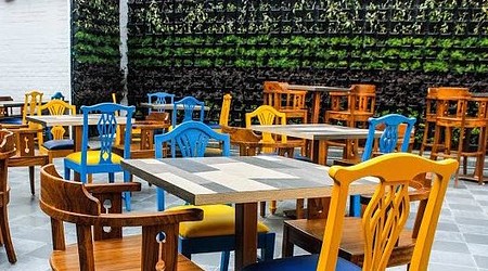 The Great Bear | Restaurant in Sector 26, Chandigarh