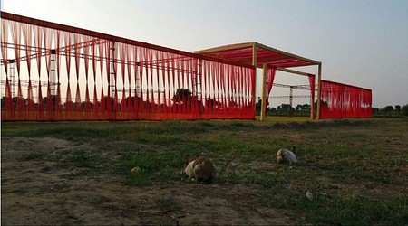 Outdoor Sitting Arrangement at The Golden Tree