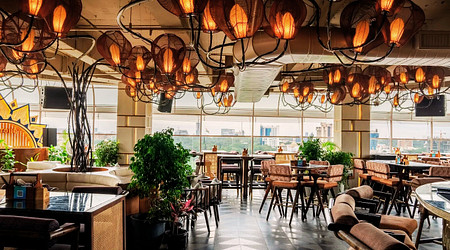 Botany Brew and Kitchen | Restaurants in Ashok Nagar, Bangalore