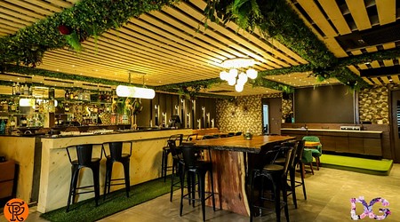 Doodles Garden | Restaurant in Punjabi Bagh, Delhi