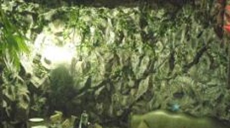 rainforest resto-bar a perfect corporate party place