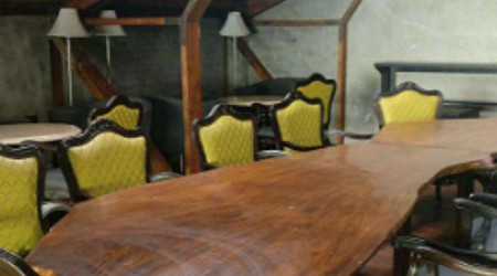 razzberry rhinoceros a perfect corporate party place