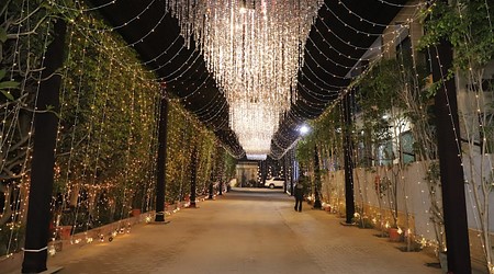 Rooftop Ambience New Vasu Garden