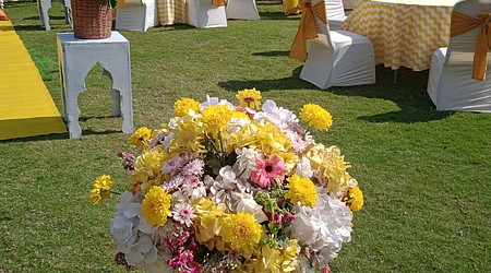 Seating Area of Royal Imperio Farm