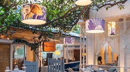 Terrace Area at Olive Bar & Kitchen