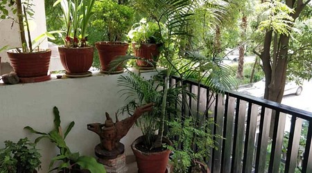 Terrace Party at House 9095