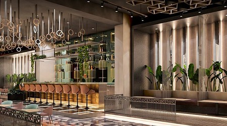 Toksik | Restaurants in Sector 75, Noida