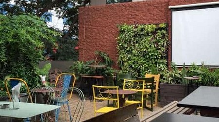 the local - terrace drinkery a perfect corporate party place