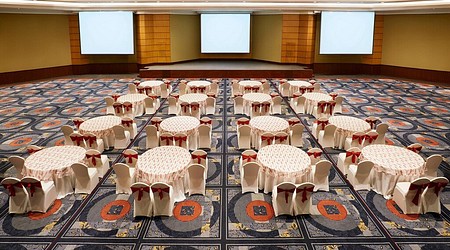Theme Party at Convention Centre - Marriott