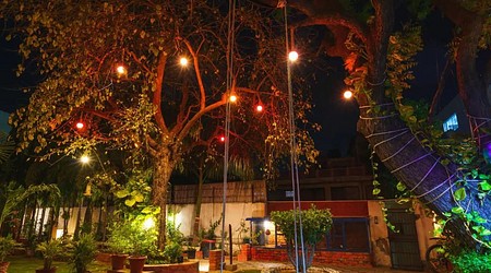 Theme Party at Farmhouse 5789