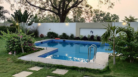 Theme Party at The Neem Tree Farm