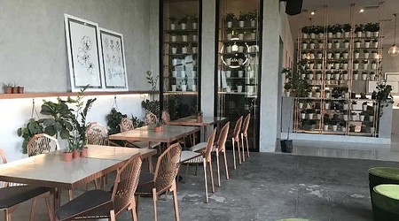 upstairs club a perfect corporate party place