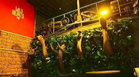 Wild Hearts Pub a perfect corporate party place