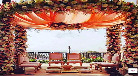 Fascination Decoration Sector 24