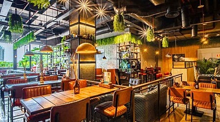 Brewdog | Restaurants in Golf Course Road, Gurgaon