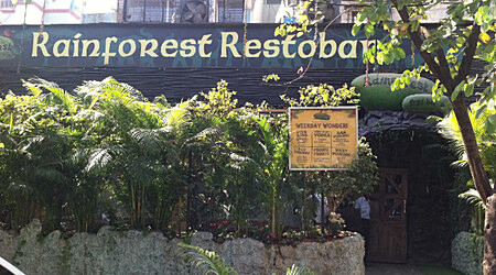 Rainforest Resto Bar | Restaurant in CBD-Belapur, Mumbai