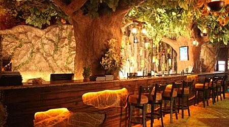 Rainforest Resto-Bar | Restaurant in Kurla, Mumbai