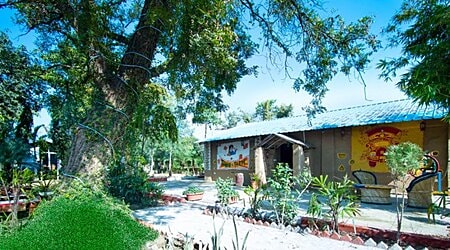 Farm 5599 Manesar