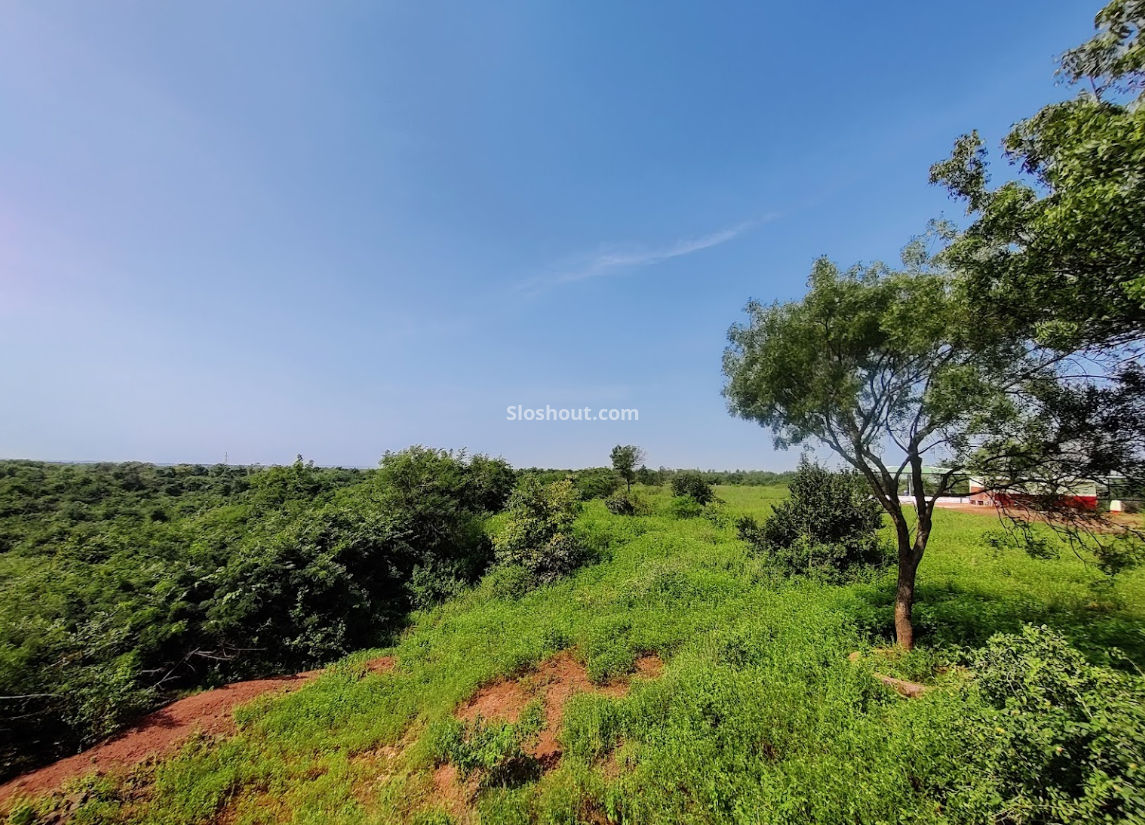 Deccan Trails - Forest Resort a perfect corporate party place