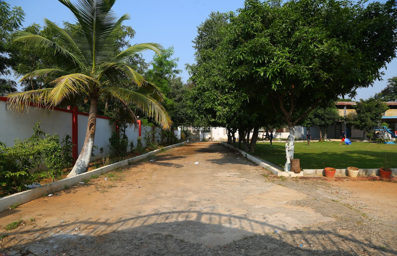 Interior Decor of Popular Farm