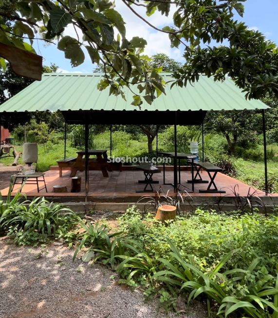 The Neem Tree Farm a perfect corporate party place