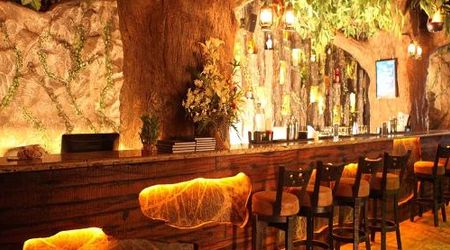 Rainforest Resto Bar Viman Nagar