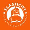 Elasticity