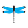 Dragonfly Digital Marketing