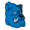 Blue Dog Media