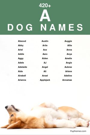 dog names starting with a