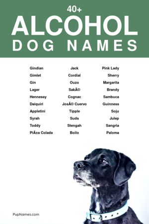 alcohol dog names