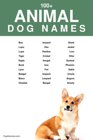 animal dog names