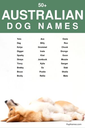 Australian Dog Names