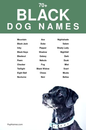 black dog names