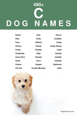 dog names starting with c