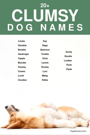 clumsy dog names